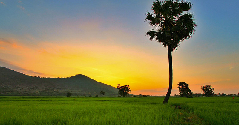 Những bài thơ về quê hương đất nước hay nhất, giàu lòng yêu nước