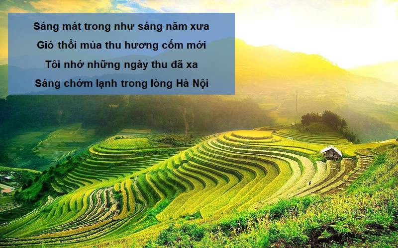 Tác phẩm của Nguyễn Đình Thi